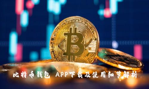 比特币钱包 APP下载及使用细节解析