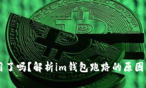 im钱包中国不能用了吗？解析im钱包跑路的原因及被封后如何处理