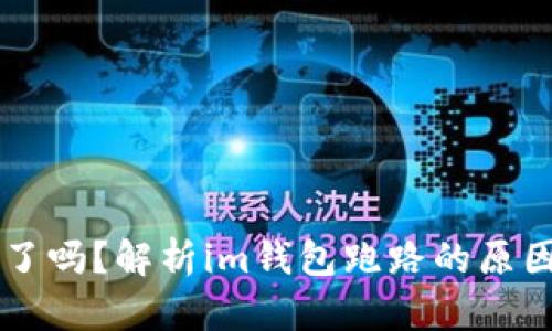 im钱包中国不能用了吗？解析im钱包跑路的原因及被封后如何处理