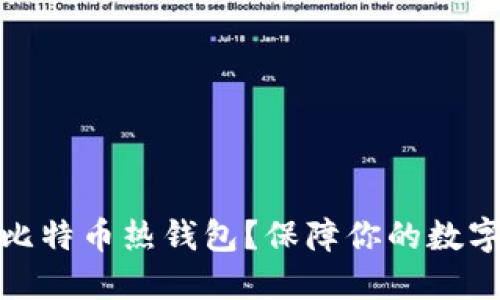 如何使用比特币热钱包？保障你的数字货币安全