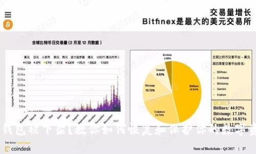 IM钱包被下架？教你如何恢复和保护你的数字资产