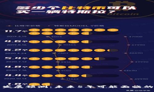 区块链钱包发展预测：未来5年可能面临的挑战和机遇