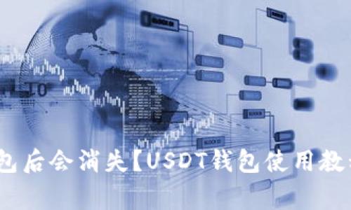 为何USDT放入钱包后会消失？USDT钱包使用教程和常见问题解析