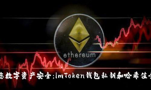 保障您数字资产安全：imToken钱包私钥和哈希值全解析