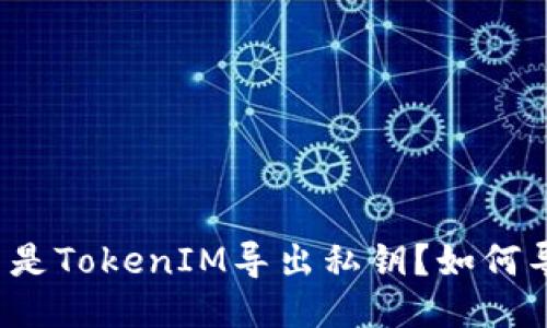 什么是TokenIM导出私钥？如何导出？