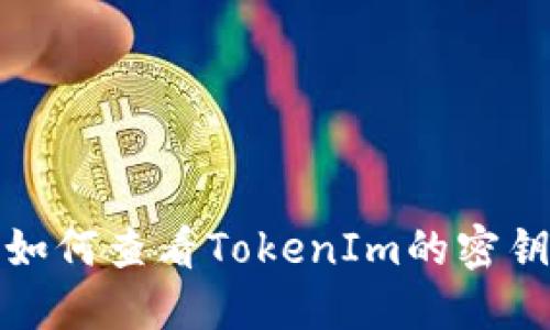 如何查看TokenIm的密钥