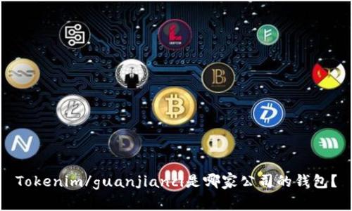 Tokenim/guanjianci是哪家公司的钱包？