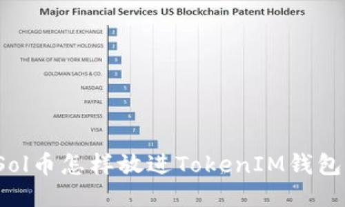 Sol币怎样放进TokenIM钱包？