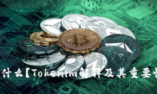 tokenim是什么？Tokenim解释及其重要性/tokenim