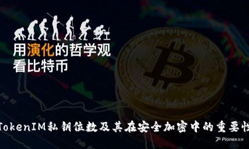 TokenIM私钥位数及其在安全加密中的重要性