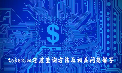 tokenim进度查询方法及相关问题解答