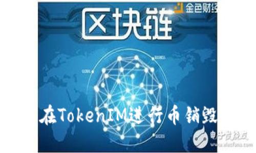 如何在TokenIM进行币销毁操作