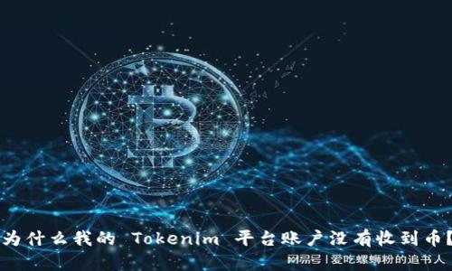 为什么我的 Tokenim 平台账户没有收到币？