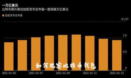 如何观察比特币钱包