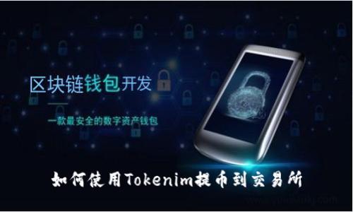 如何使用Tokenim提币到交易所